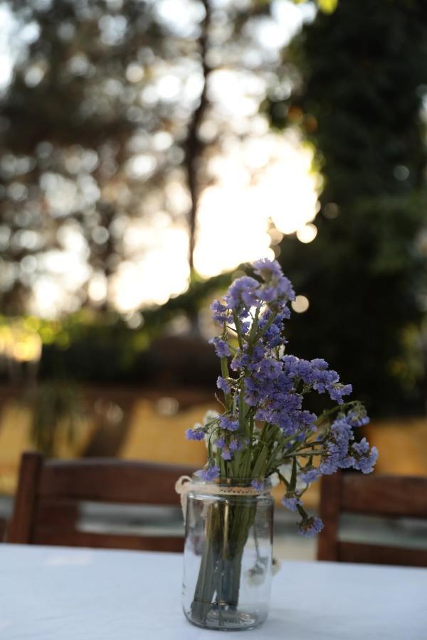 Kayserkaya Cottages Selçuk Bagian luar foto