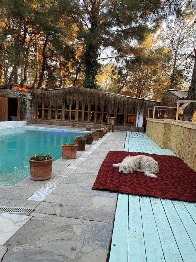 Kayserkaya Cottages Selçuk Bagian luar foto